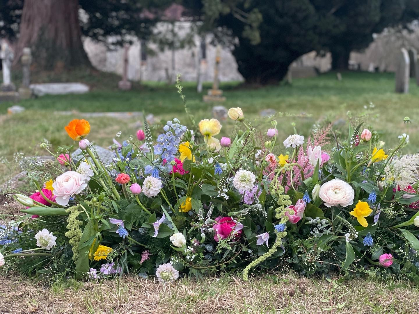 FAREWELL MEADOW TO GO