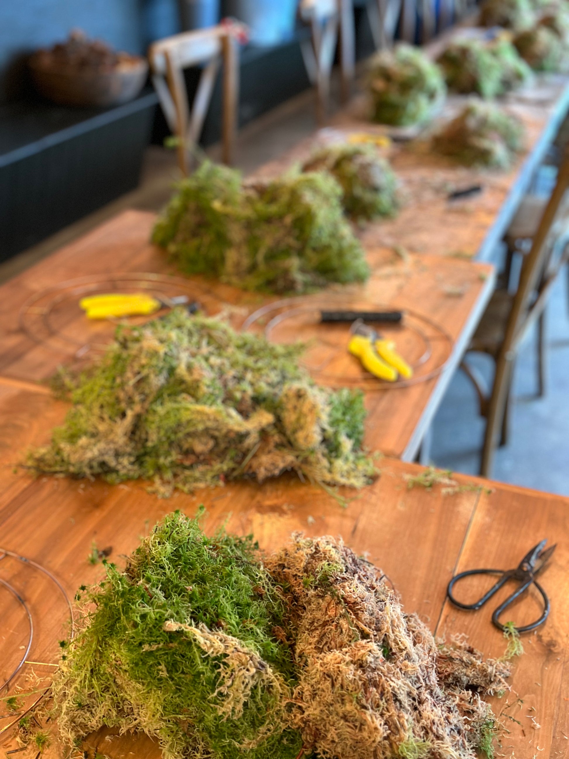 CHRISTMAS WREATH WORKSHOP