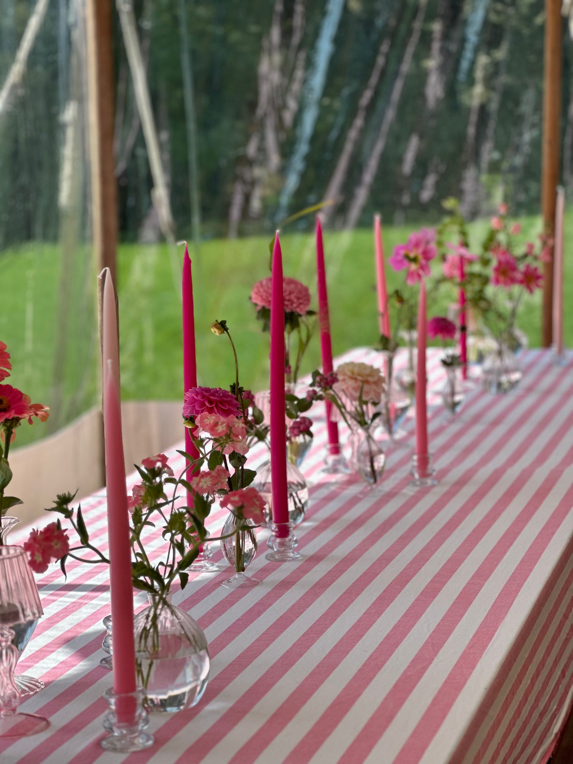 DRINKS PARTY DECOR TO GO