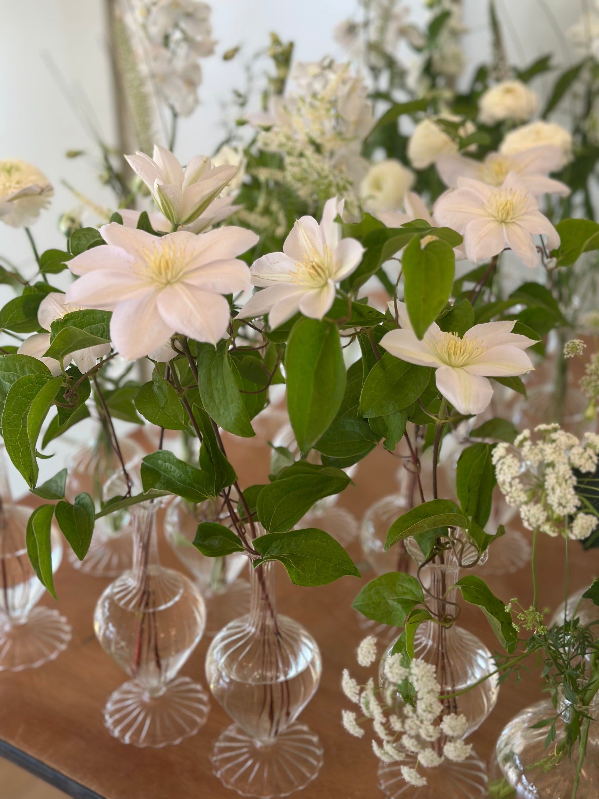 INTIMATE DINNER PARTY TO GO