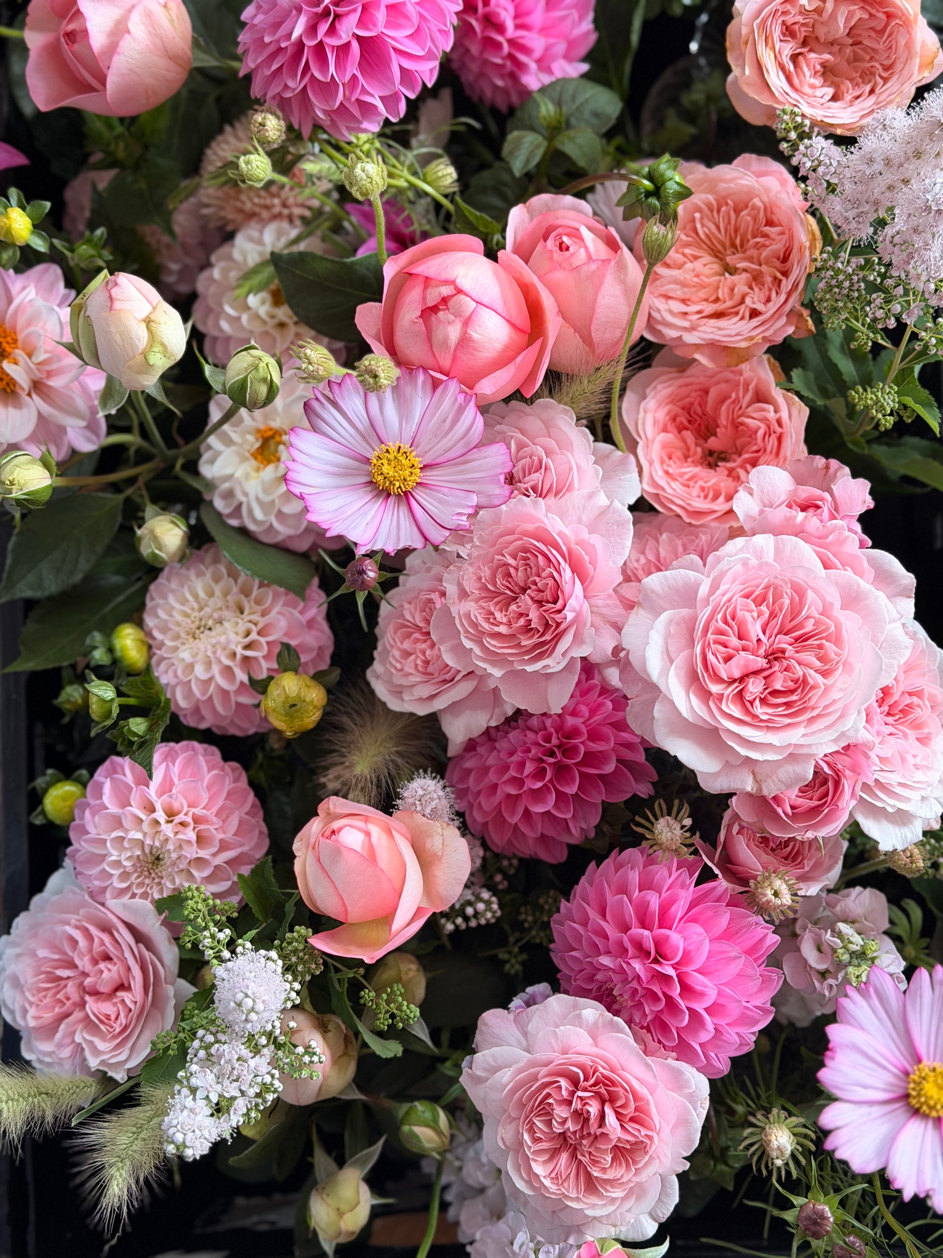 CLAUDIA & B'S CHOICE BUNCH