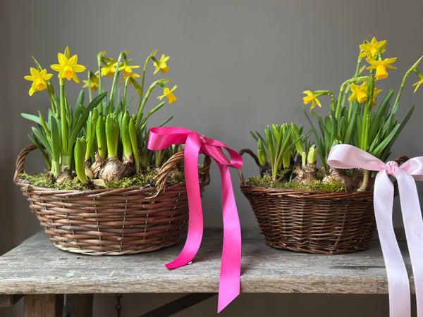 MOTHERING SUNDAY BASKET FULL OF SUNSHINE