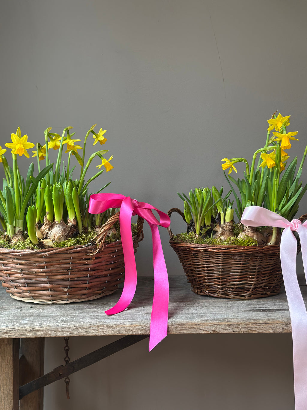 BASKET FULL OF SUNSHINE