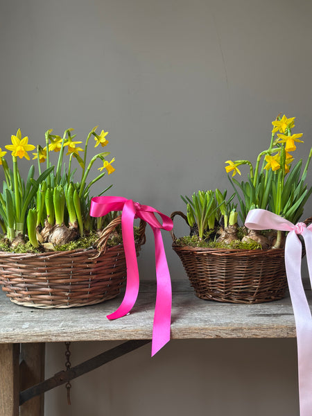 MOTHERING SUNDAY BASKET FULL OF SUNSHINE