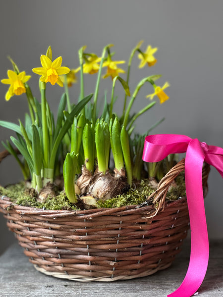 MOTHERING SUNDAY BASKET FULL OF SUNSHINE
