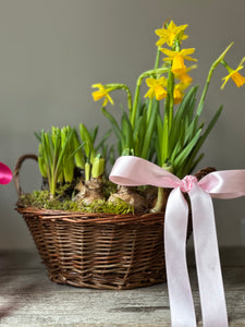 MOTHERING SUNDAY BASKET FULL OF SUNSHINE