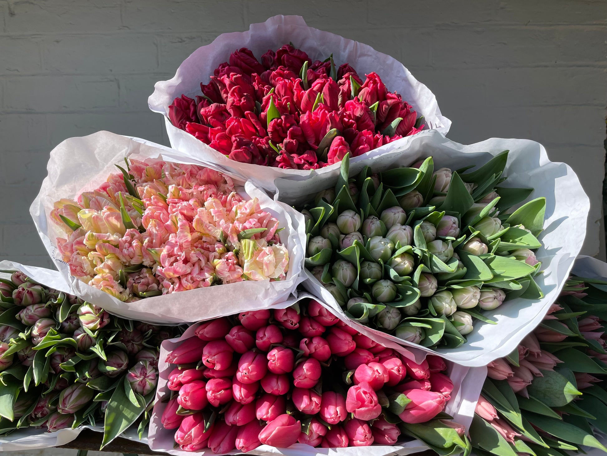 MOTHERING SUNDAY ARMFUL OF TULIPS