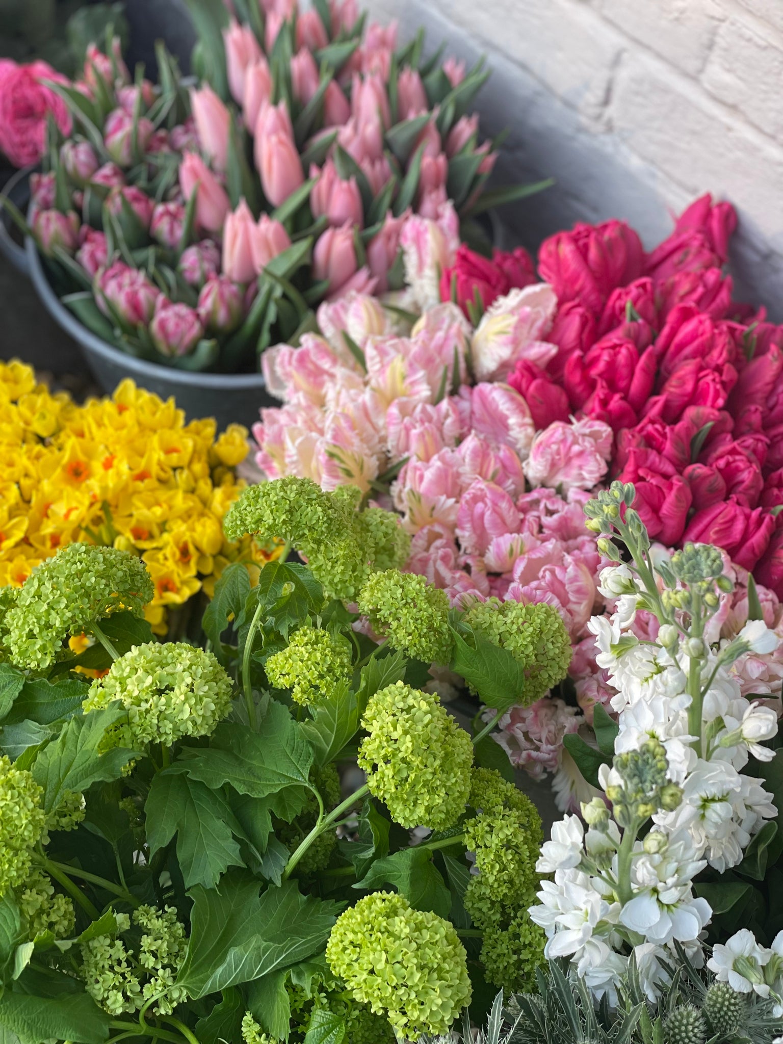 LOCAL BLOOM SUBSCRIPTION