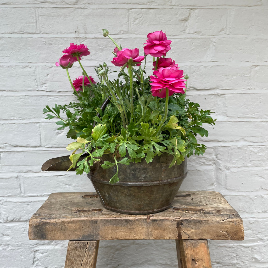 VINTAGE CURD POT