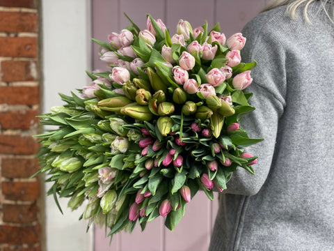 ARMFUL OF TULIPS