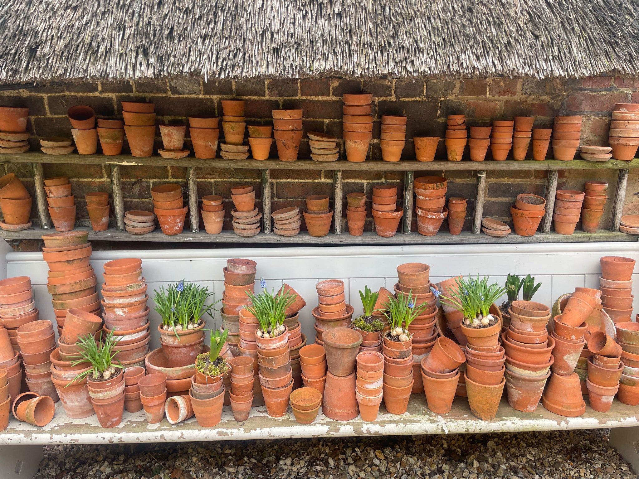 Vintage terracotta pots deals